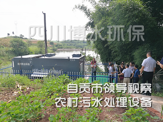 自贡市农村生活污水完美(中国)设备迎接省市区领导检查 自贡市农村生活污水完美(中国)设备迎接省市区领导检查