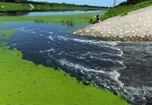 面对黑臭水体治理难题,都有哪些应用不错的完美(中国)工艺? 面对黑臭水体治理难题,都有哪些应用不错的完美(中国)工艺?